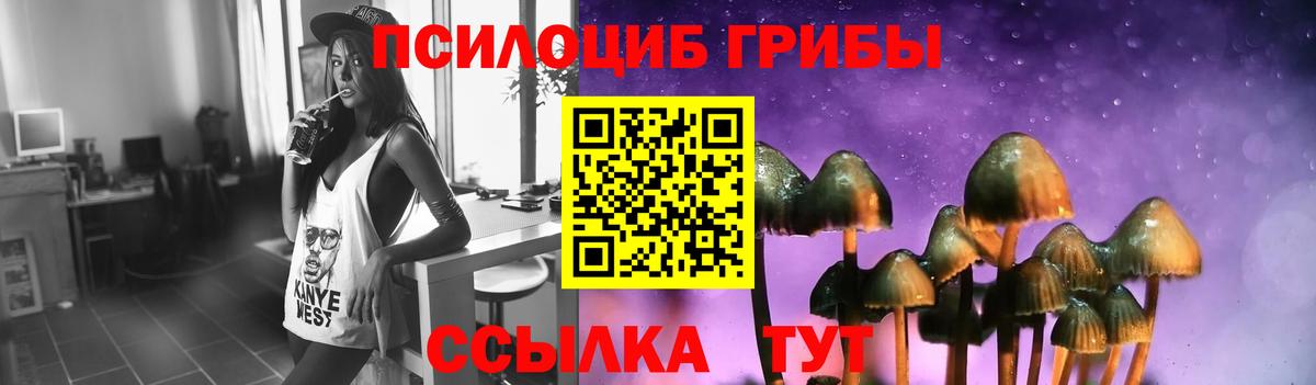 Тихорецк  Псилоцибиновые грибы GOLDEN TEACHER  Псилоцибиновые грибы MAGIC MUSHROOMS  Вход с VPN 